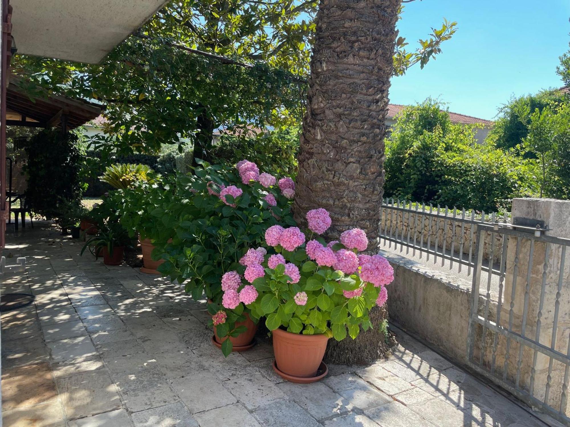 Hvar Guesthouse - Double Bedroom With Private Bathroom イェルサ エクステリア 写真